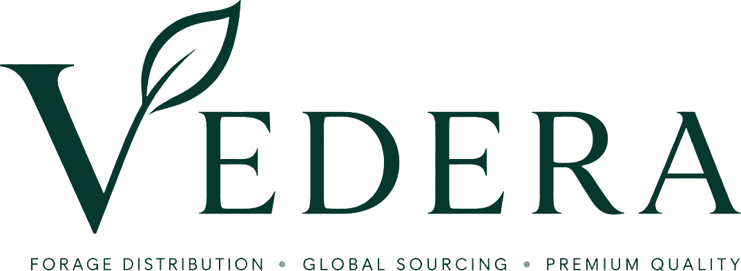 Vedera