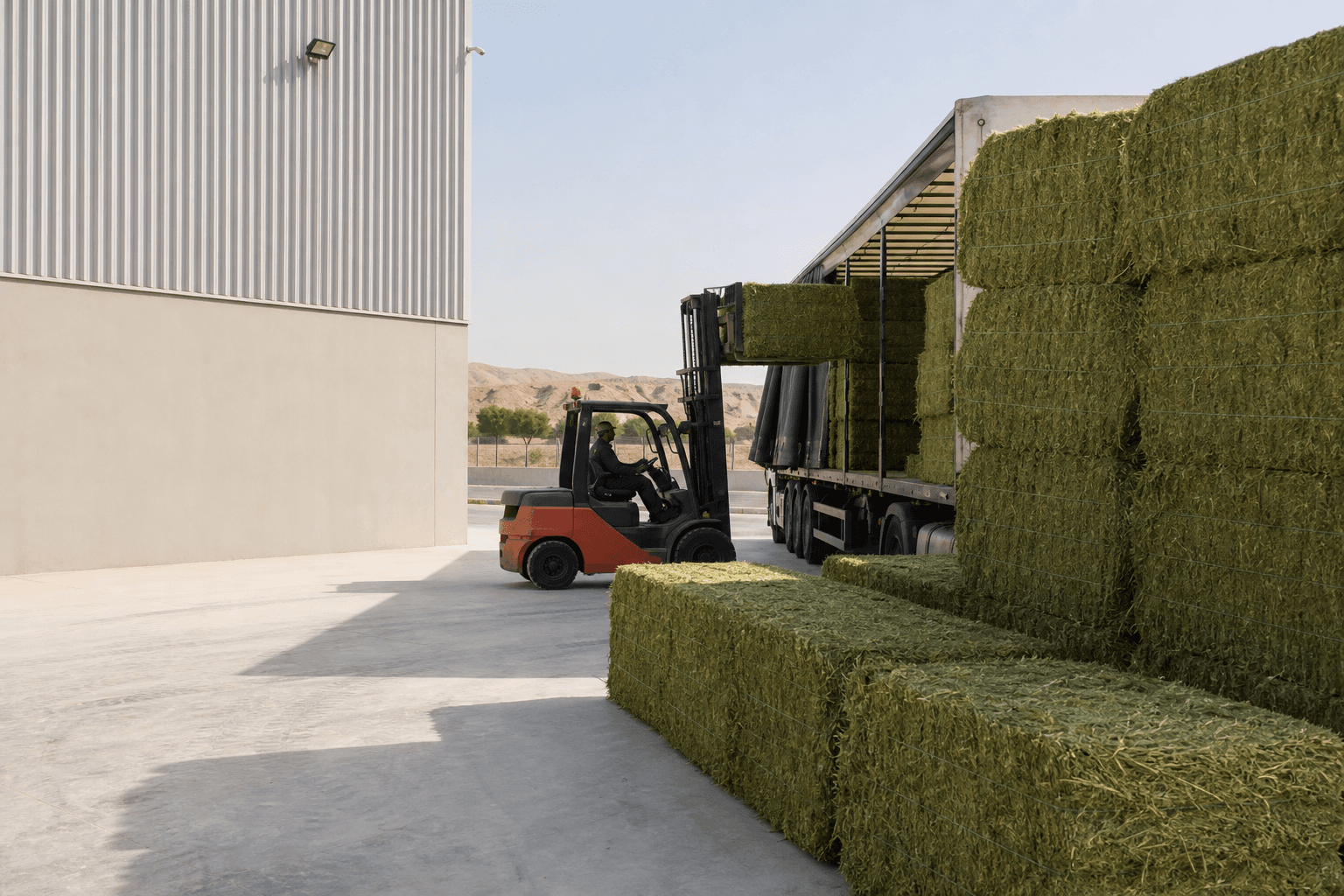 Premium forage bales being loaded at a modern UAE distribution yard